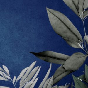 Jungle - Hardback